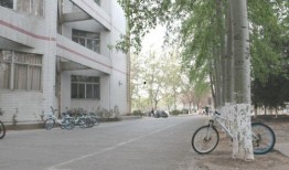 淄博都市爆料事件最新,揭秘背后惊人真相，事件最新进展曝光